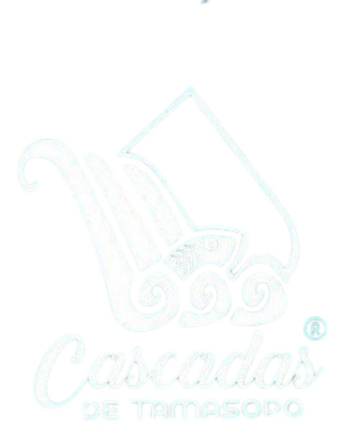 Cliente 23