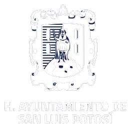 Cliente 15